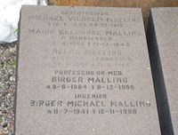 Del av familiegravsted, Malling, med bl.a. professor Birger Malling. Foto: Stig Rune Pedersen