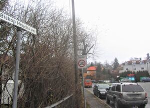 Biskop Heuchs vei Oslo 2012.jpg