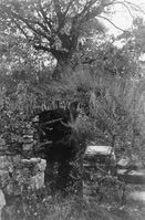 13. Bispeborgen, Hamarkaupangen, Hedmark - Riksantikvaren-T095 01 0273.jpg