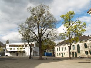 Bjølsen skoles skolegård.JPG