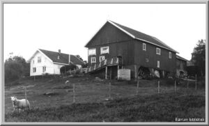 Bjørke øvre Bærum.jpg