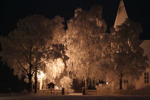 Bjørkelangen kirke - trær.jpeg