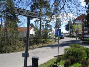 Bjørn Bondes vei Oslo 2015.jpg