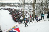 Solid nedslag i sitt siste hopp. Foto: Svend Aage Madsen (2009).