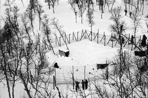 Bjørnebåsen i Folkeparken.jpg