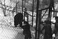 «Bjørnebåsen» i Folkeparken i Harstad med den siste kanadiske svartbjørnen. Foto:Johan Kristiansen 1953