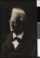 73. Bjørnstjerne Bjørnson - no-nb digifoto 20160128 00005 bldsa BB0347.jpg