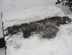 Bjørnstjerne Bjørnson (1832–1910), Vår Frelsers gravlund. Foto: Stig Rune Pedersen (2012).