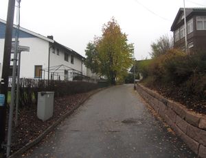 Bjerkastien Oslo 2014.jpg