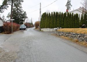 Bjerkealléen Bærum 2016.jpg