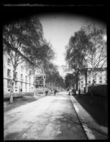 Motiv fra Bjerkealléen. Foto: Narve Skarpmoen .