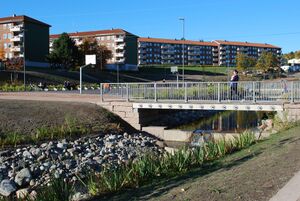 Bjerkedalen park 2013.jpg