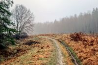 Den gamle gårdsveien fra Bjørndal til Seterbråten. Foto: Leif-Harald Ruud (2020)