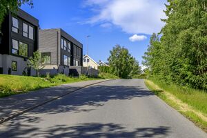 Blåbærveien-220616.jpg