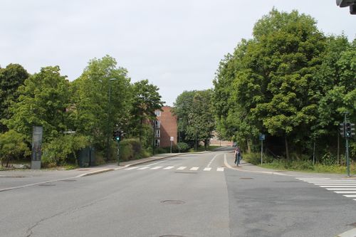 Samme sted i 1939. Farmasibygningen er såvidt synlig, men i forkant av den ble Geologibygningen oppført i 1957. Fysikkbygningen er fra denne vinkelen helt dekka av trær. Foto: Chris Nyborg