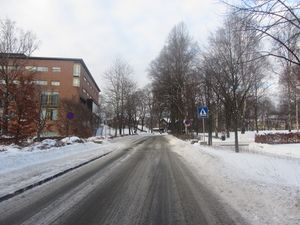 Blindernveien Oslo 2012.jpg