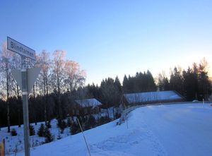 Blindtarmen (veg) Østre Toten kommune 2013.jpg