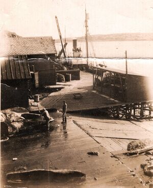 Blomvåg hvalstasjon.jpeg