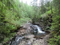 Blygruvebekken der den møte Gravdalsbekken og de danner Tryterudelva.