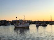 Motiv fra Bodø havn høsten 2019. Foto: Lars Egil Sørsdal