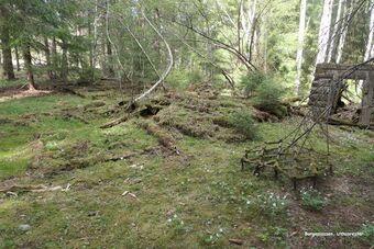 Borgeplassen på Eiker (kk-2022-06-04-III).JPG