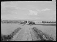 29. Borre - no-nb digifoto 20151119 00027 NB MIT FNR 16361A.jpg