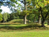 Motiv fra Borreparken høsten 2013. Foto: Stig Rune Pedersen