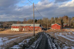 Bovimalleen 230209.jpg