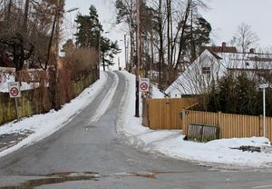 Boyes vei Bærum 2016.jpg