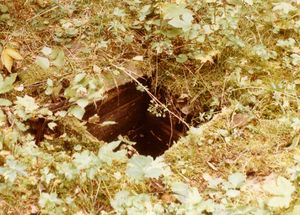 Brønnen på Svendsplassen (oeb-195105-2).jpg