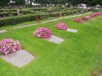 Graver med falne fra andre verdenskrig på Bragernes kirkegård. Foto: Stig Rune Pedersen