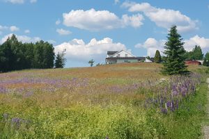 Brakalsvålet nedre under Skinnarbøl 2020.jpg