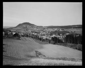 Brandbu - no-nb digifoto 20150609 00034 NB MIT FNR 17058.jpg