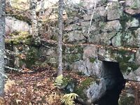 Selve damluka er cirka 2 meter høy. (Foto: Karl Halvor Langerud, oktober 2022)