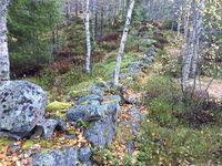 Oppdemningen 60-70 meter øst for hoveddammen. (Foto: Bent Ek, oktober 2022)