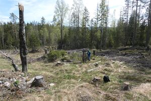 Brenneplassen 2022 (P1010745).JPG