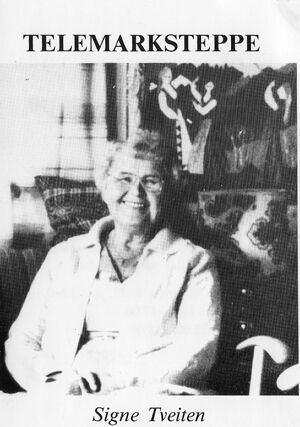 Brosjyre utstilling telemarksteppe 1990.jpg