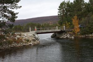 BruBryggjeosen.jpg