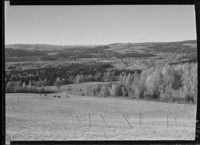 170. Brumunddal - no-nb digifoto 20151105 00033 NB MIT FNR 06446.jpg