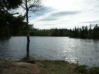 Tjernet fotografert fra øst ved utløpet av bekken til Øvre Fisketjenn