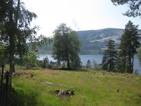 Ein avflata haug i kulturlandskapet på Buåker på Øvre Haugane 2019. Dette er "--nor i jori--" i høve til gardstunet. Glomshaug?