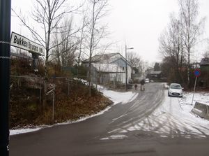 Bukken Bruses vei Oslo 2014.jpg