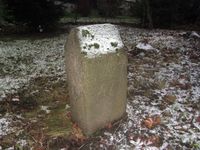 Byggebeltestein nr. 47 står i bakhagen ved Sognsveien 63. Foto: Stig Rune Pedersen