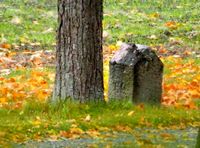 Byggebeltestein nr. 69, inne på Kongsgårdens eiendom. Foto: Trond Åsheim