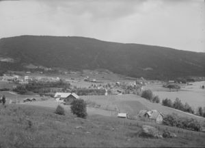 Bygland - no-nb digifoto 20160225 00195 NB MIT FNR 05927.jpg