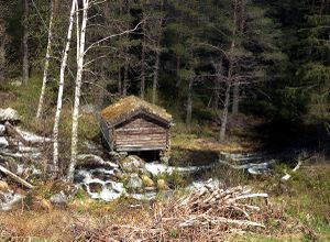 Bykle, kvinn til Trydal Storstein (17-3) i utløpet frå Trydalstjønni.JPG