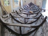 Fjordamerra (1842) Foto: Olve Utne (2011).