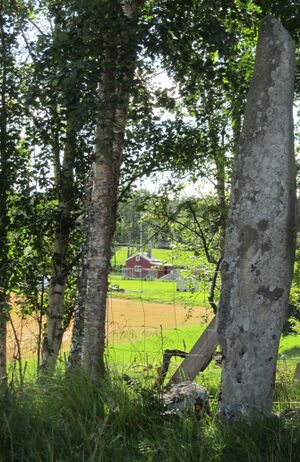 C03041cr Leira-bautaen.jpg