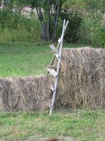 114. C04130 hesje i Hotagen.jpg