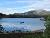 310. C06786 Fjordamerra (1996).jpg